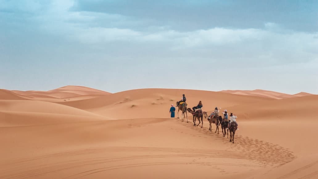 Desert Oasis Camp